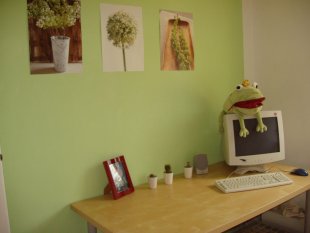 Arbeitszimmer / Büro 'Froschzimmer'