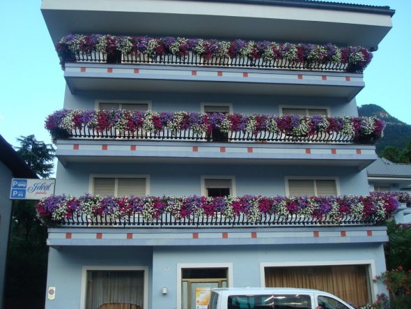Terrasse / Balkon 'Balkonblumen und die Berge'