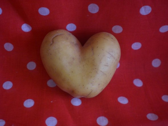 Mit solchen Kartoffeln kann es ja nur ein liebevolles fest werden :-D