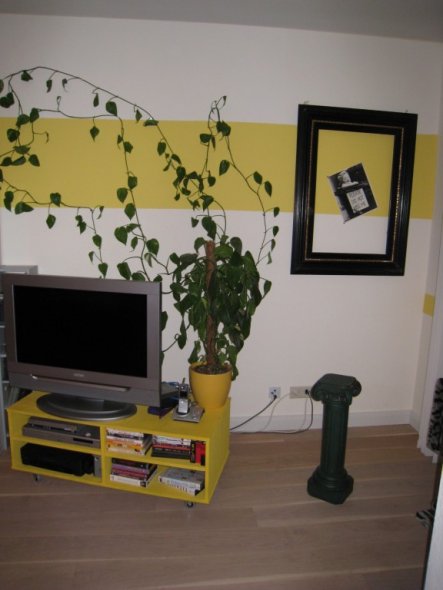 TV Pflanze und Säulenecke